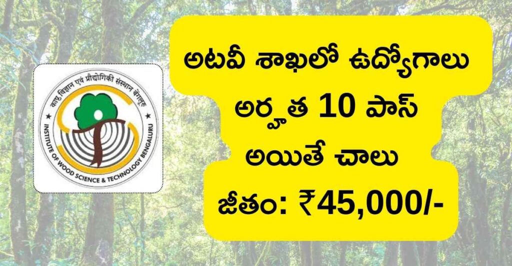 Forest Jobs Recruitment 2024
